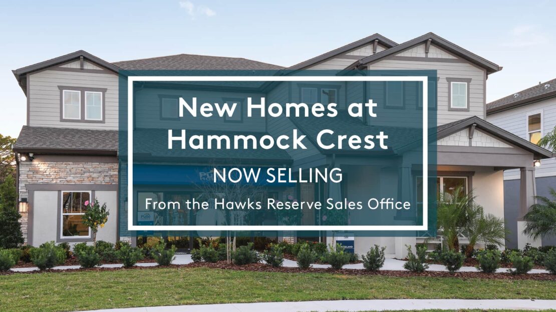 Hawks Reserve in RiverviewHawks Reserve by Pulte