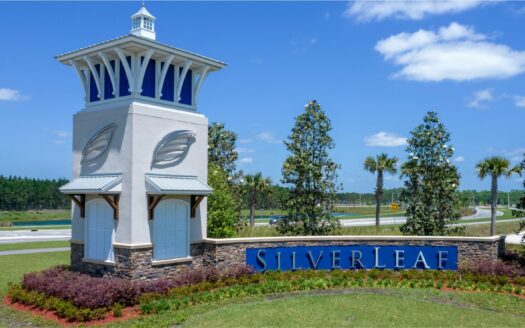 SilverLeaf Silver Falls 50s at SilverLeaf Community by Lennar