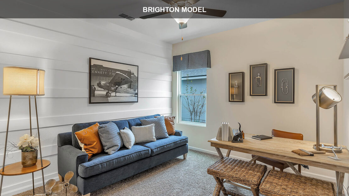 The Arbors-Brighton Model