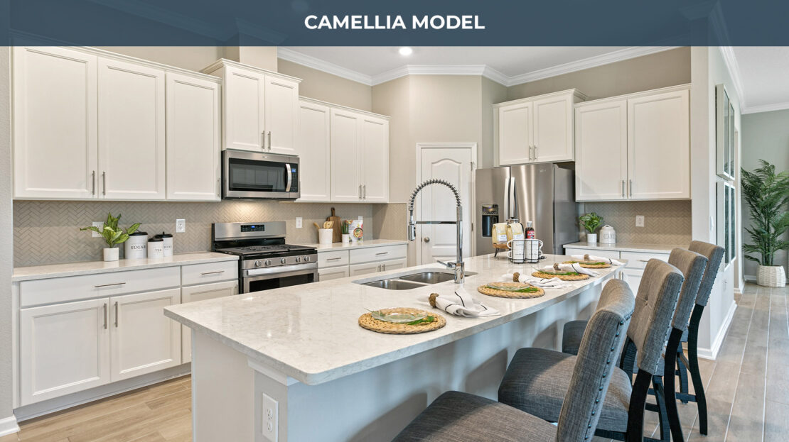 Camellia built by Tradition Series