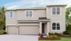 Star Farms at Lakewood Ranch: Torino Model