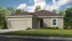 Coopers Meadow: Buttonwood Model