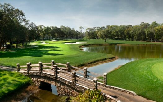 Montrose at Innisbrook Palm Harbor FL