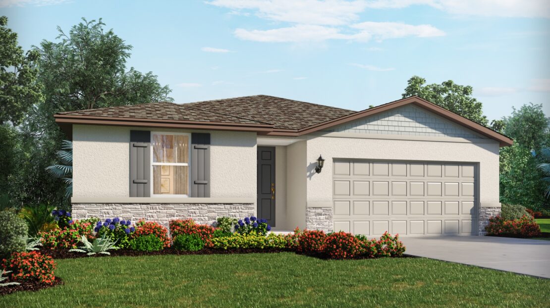 Hibiscus model in Zephyrhills