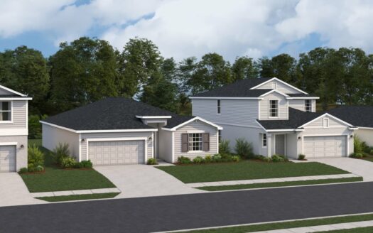 Willow Patio Homes Community by Lennar