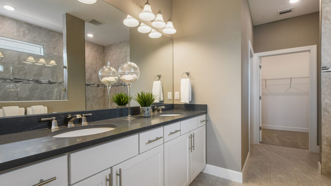 Mystique Model at Preserve at Waterway Village New Construction