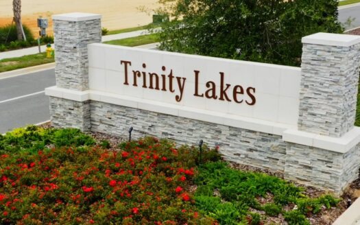 Trinity Lakes Manor Collection Community by Lennar