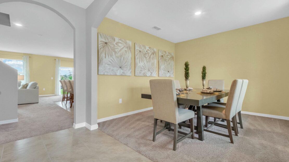 Hayden model in Saint Cloud