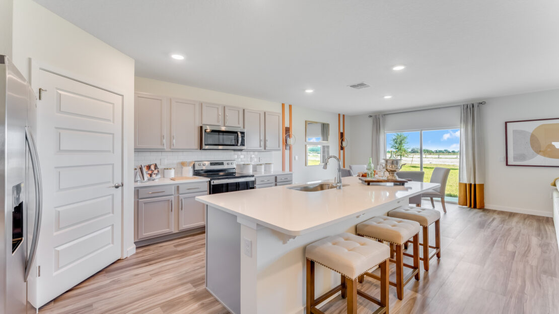 Buena Lago Modern Single family