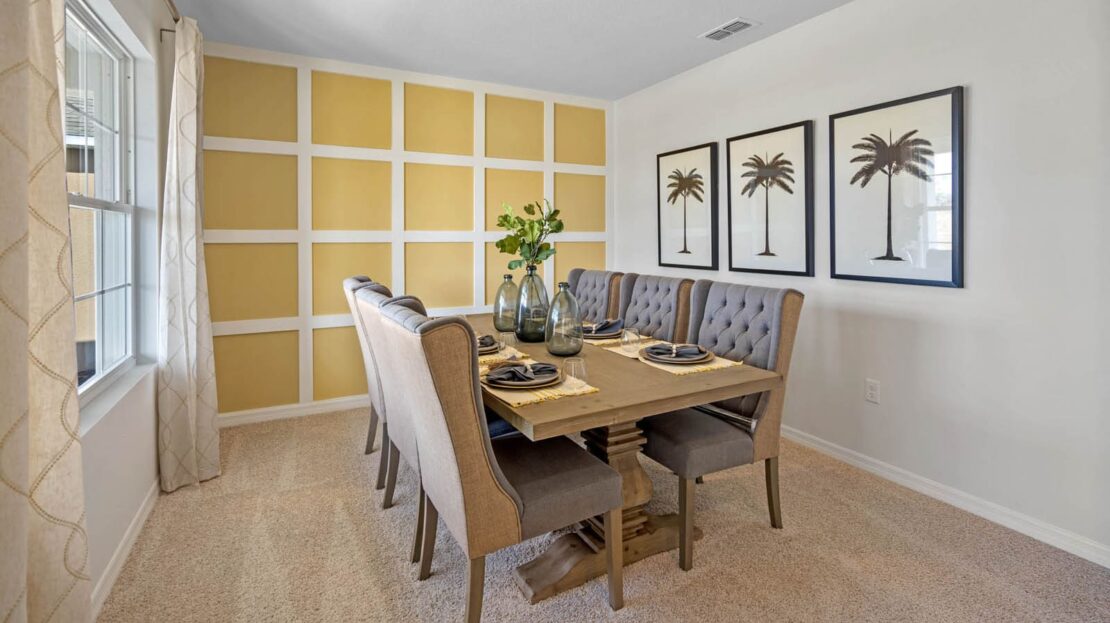 Hayden model in Poinciana