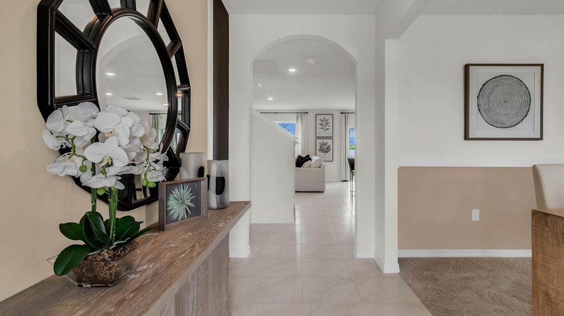 Hayden model in Clermont