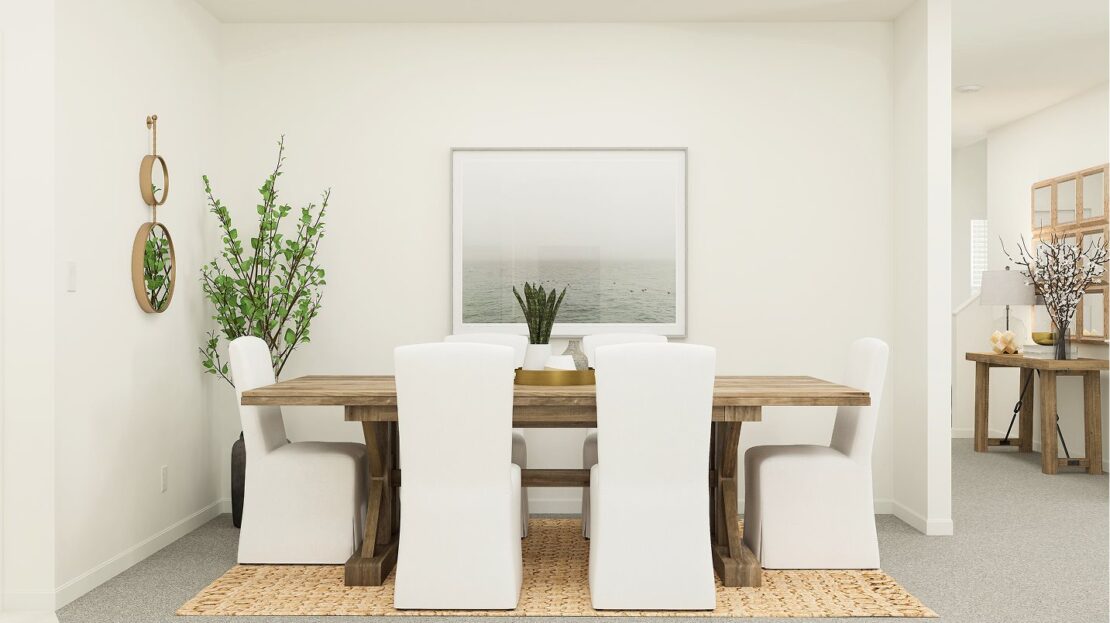 Boston model in New Port Richey