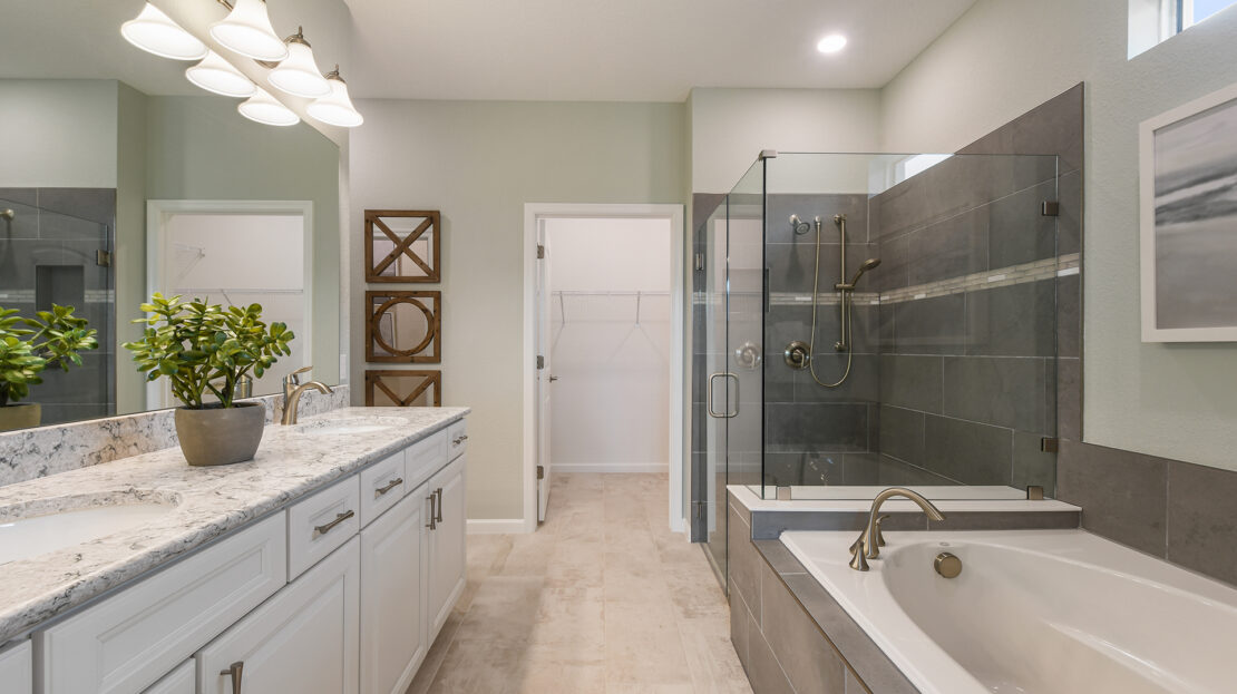 Prosperity Model at Preserve at Waterway Village New Construction