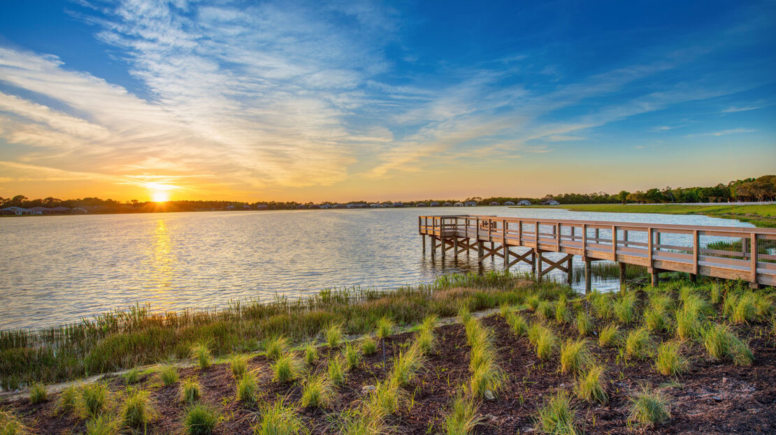Vivid Shores New Construction