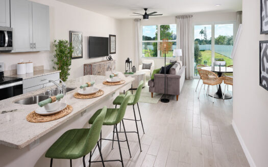 The District at Oakleaf - The Enclave