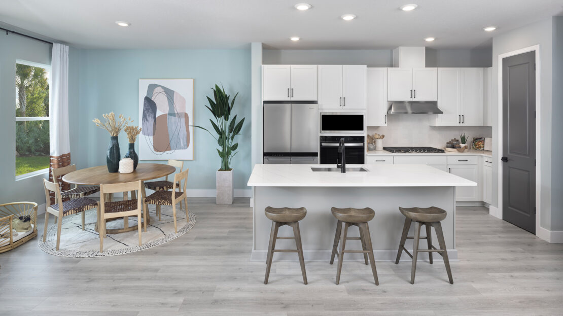 Persimmon Place - Townhomes in Wesley Chapel