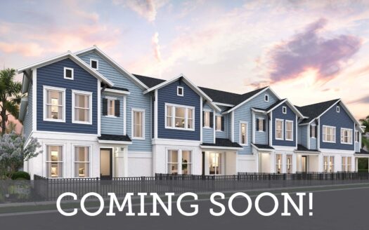 Persimmon Place - Townhomes Wesley Chapel Florida