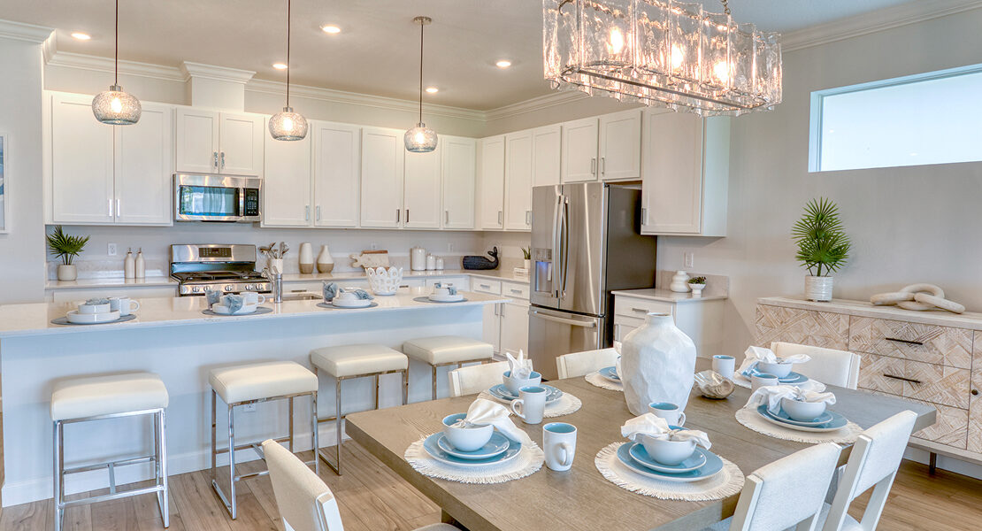 Daisy model in Port St. Lucie