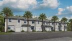 Carnation Model | Terra Sol