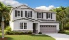 Pine Grove Reserve: Ammolite Model