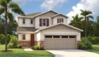 Pine Grove Reserve: Palm Model