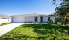 Palm Bay: The Iris Model
