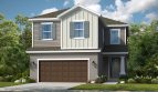 Melcon Farm: Boca Grande Model