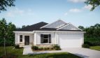 Seminole Bend: The Ashton Model