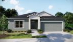 Palm Bay: The Maple Model