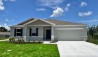 Palm Bay: The Mesquite Model
