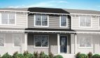 Rainwood: Aurora Model