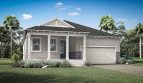 Rainwood: Cascades Model
