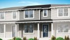 Rainwood: Catalina Model