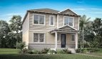 Rainwood: Grayton Model