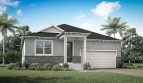 Rainwood: Pinnacle Model