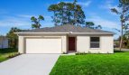 Palm Bay: The Violet Model