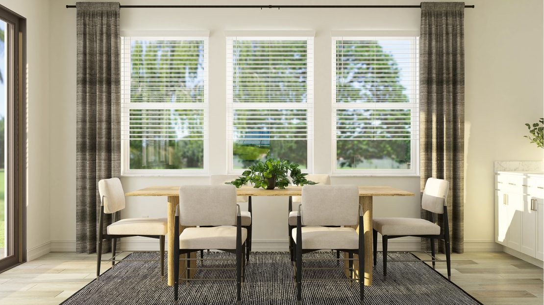 Aspen model in Palmetto