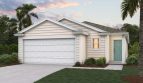 Allex Model | Grand Reserve