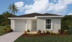 Cameron Model | Asher Park
