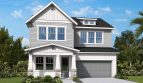 Central Living – South Tampa: Taylorcrest Model