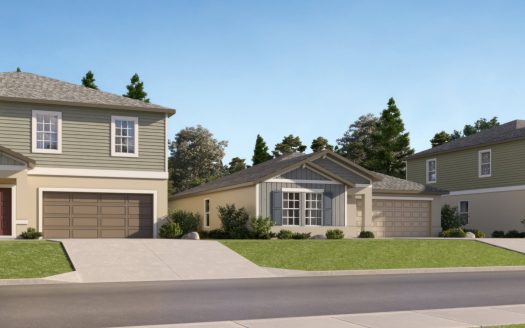 Balm Grove The Manors East Community by Lennar