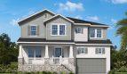 Central Living – South Tampa: Blackwater II Model