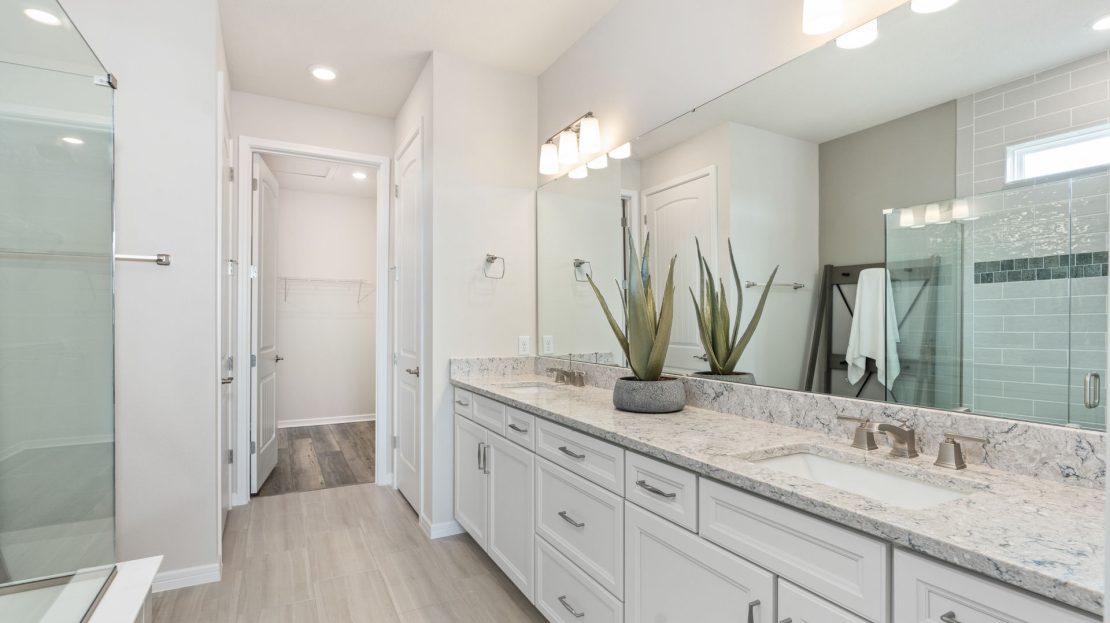 Palmary Model at Del Webb Lakehaven Single Family Home