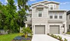 Central Living – Tampa City Home: Hazel Model
