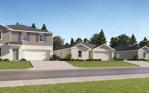 Meridian at Mayfair The Oaks Collection Community by Lennar