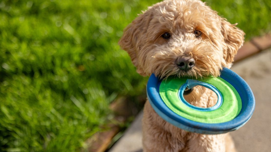 Highland Pines Pre-Construction Homes