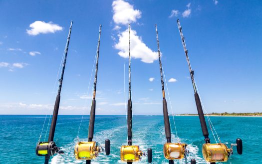 Coral Edge in MargateCoral Edge by Pulte