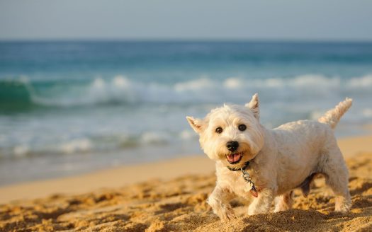 South Gulf Cove Exterior