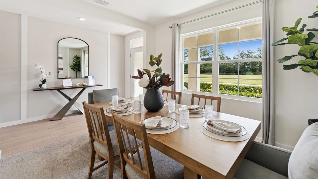 Hayden model in New Smyrna Beach