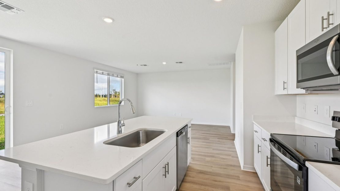 Zion model in Parrish